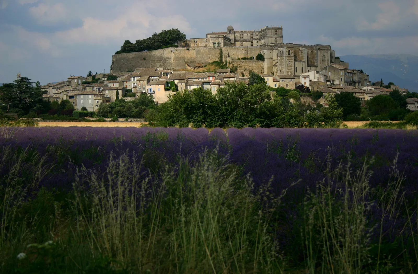 Grignan met zijn kasteel boven een lavendelveld, Drôme provençale